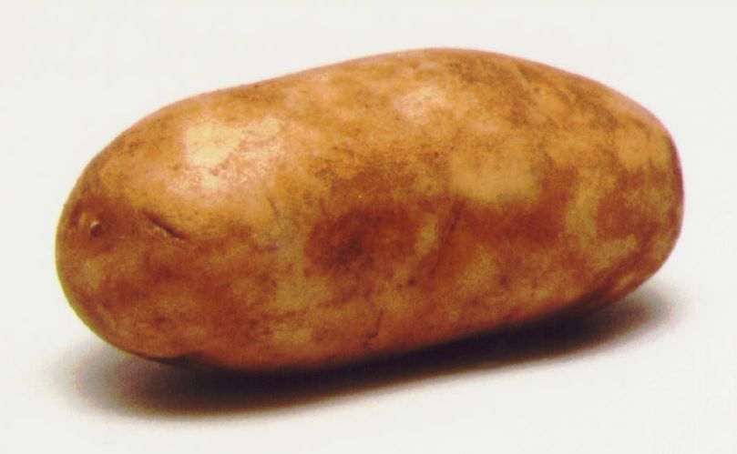 A potato!